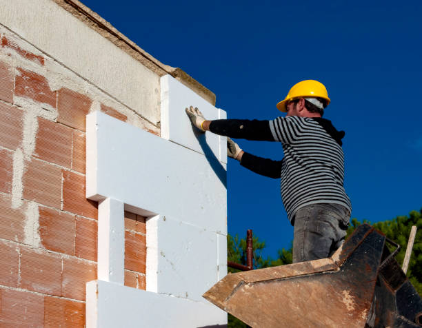Best Cellulose Insulation  in Roslyn, PA