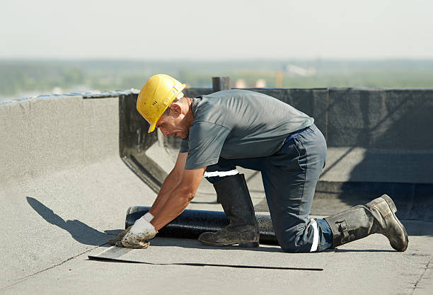 Best Best Insulation Companies  in Roslyn, PA