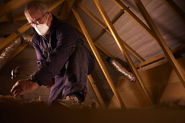 Best Wall Insulation Contractor  in Roslyn, PA
