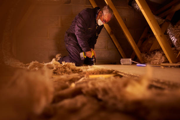 Best Fiberglass Insulation  in Roslyn, PA